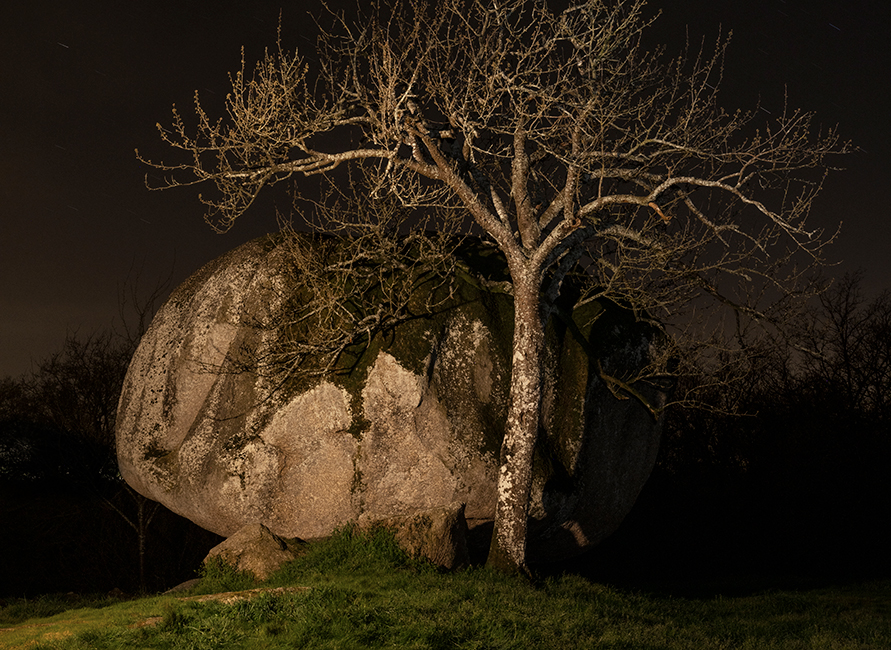 Juliette Agnel "Le sous-sol palpite" Photo de Juliette Agnel